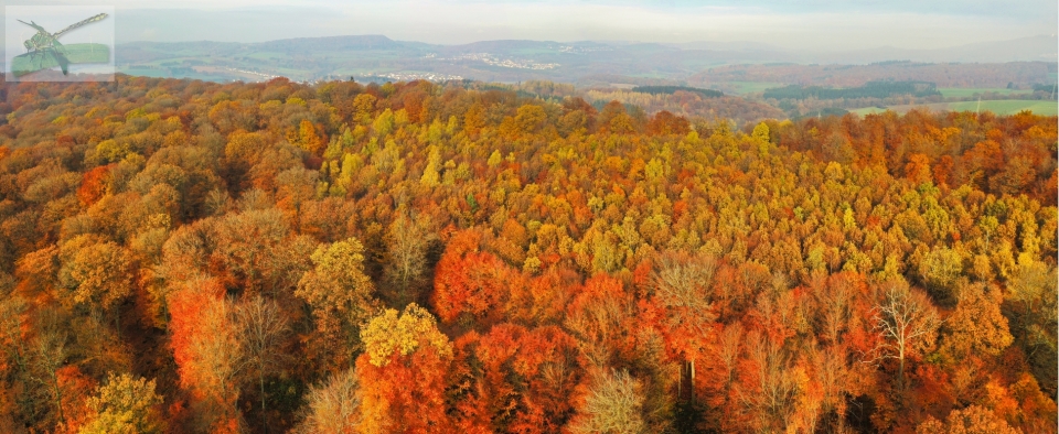 16Nov19-Eppelborn-Pan141-2a